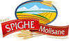 LOGO SPIGHE MOLISANE.jpg