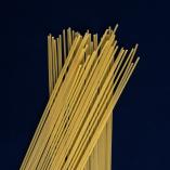 SPAGHETTI-DSC6020.jpg